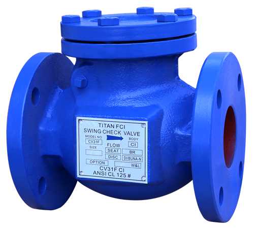 Check Valves
