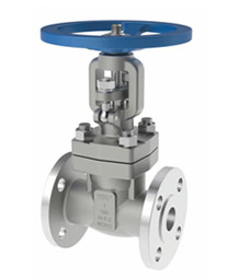 Gate Valves